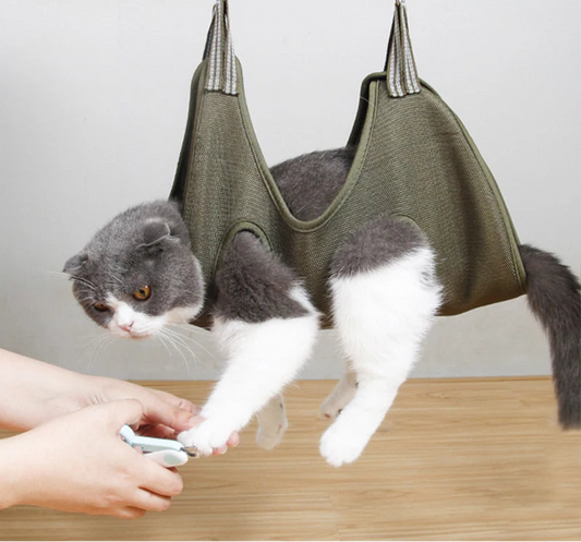 Cat being groomed in a green grooming hammock with a neutral background